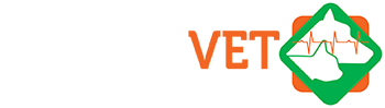 CenterVet